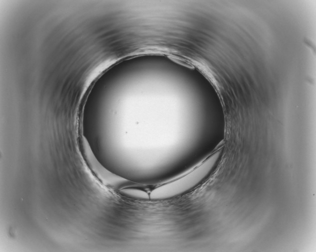 X0000095551003200712281602