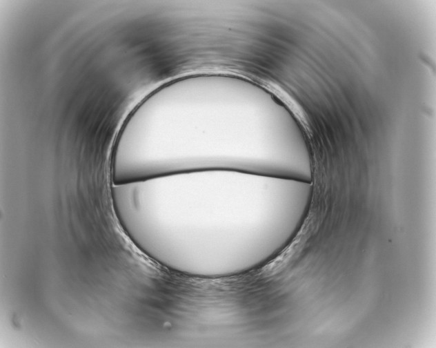 X0000095551004200712281602