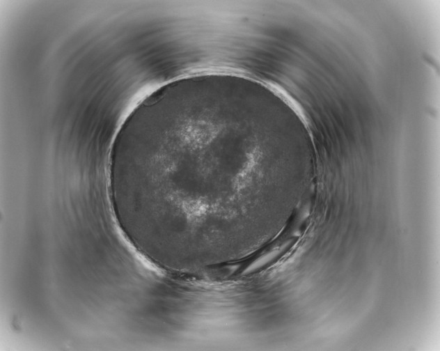 X0000095551005200712281602