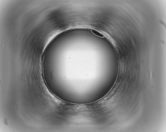 X0000095551006200712281602