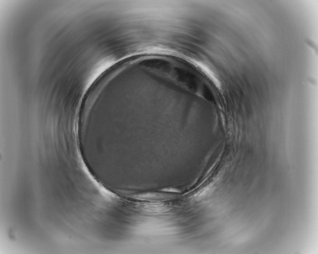 X0000095551007200712281602