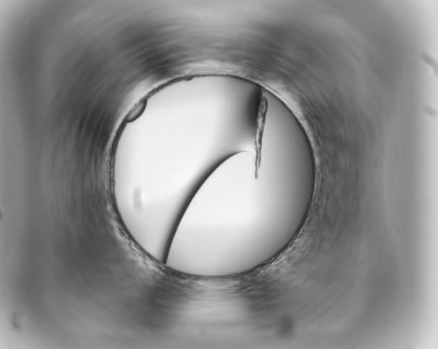 X0000095551008200712281602