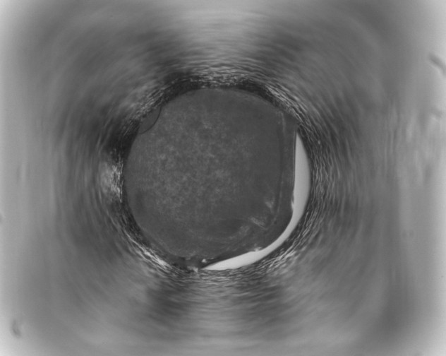 X0000095551010200712281601