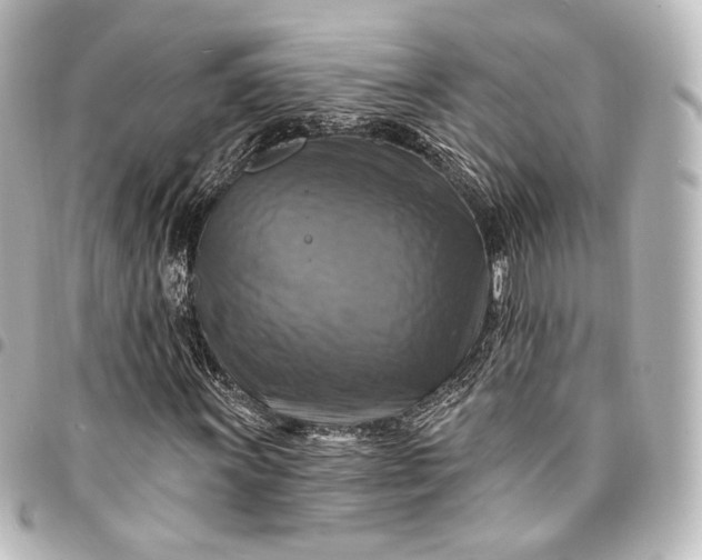 X0000095551011200712281601