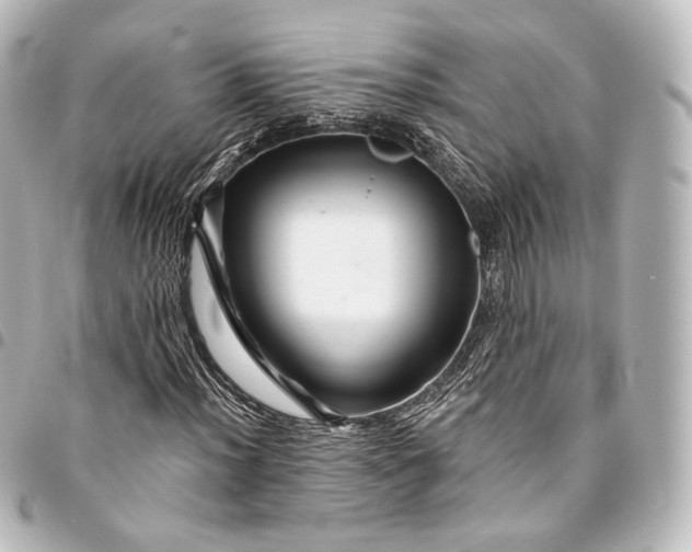 X0000095551012200712281601