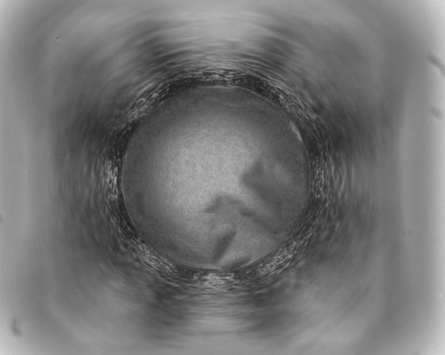 X0000095551013200712281601