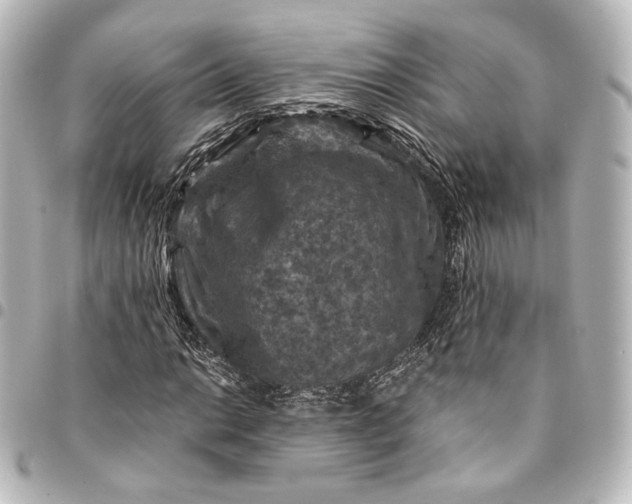 X0000095551014200712281601