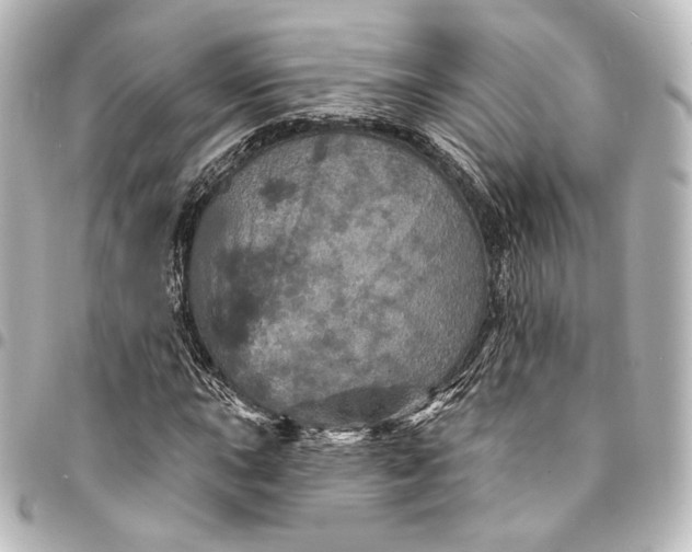 X0000095551015200712281601