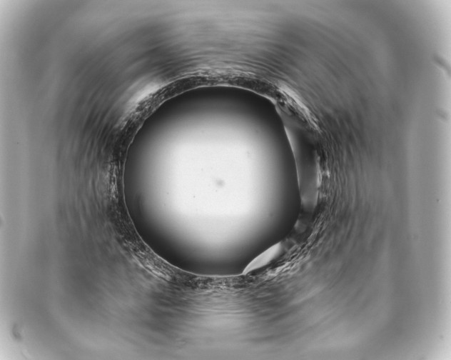 X0000095551016200712281601