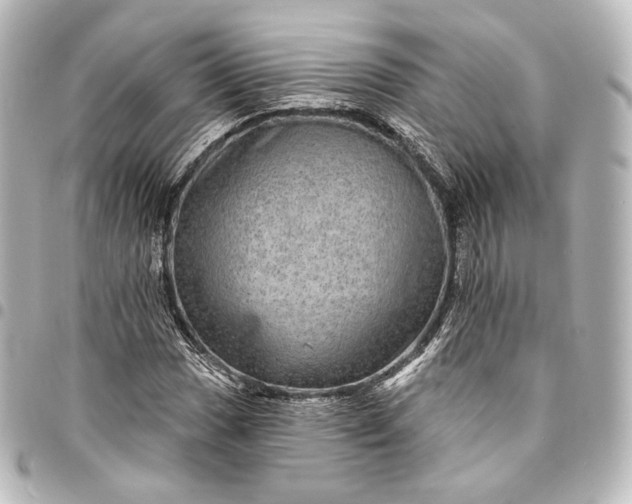 X0000095551017200712281601