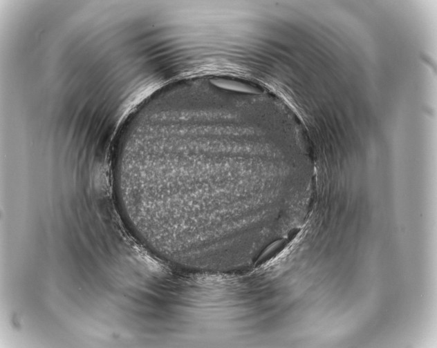 X0000095551018200712281601