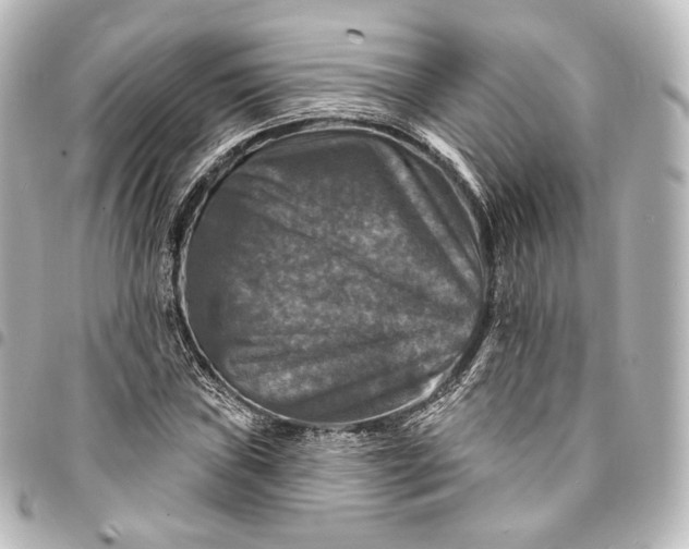 X0000095551019200712281601