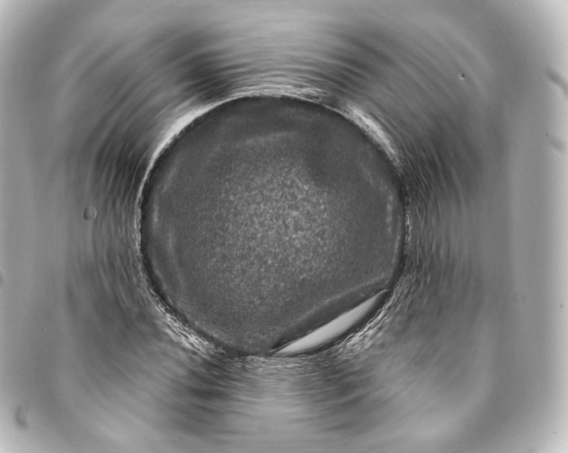 X0000095551020200712281601