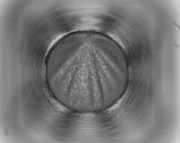 X0000095551021200712281601