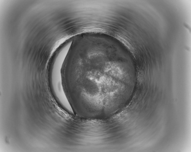 X0000095551022200712281601