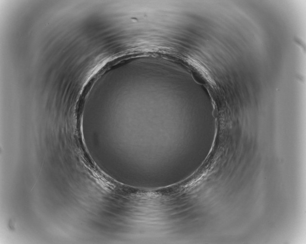 X0000095551023200712281601