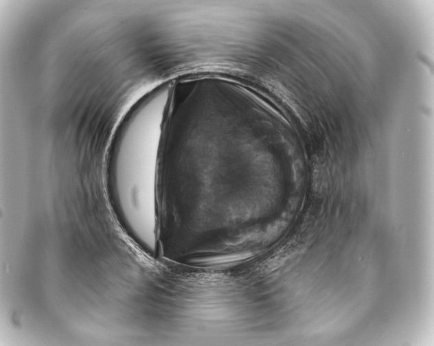 X0000095551024200712281601