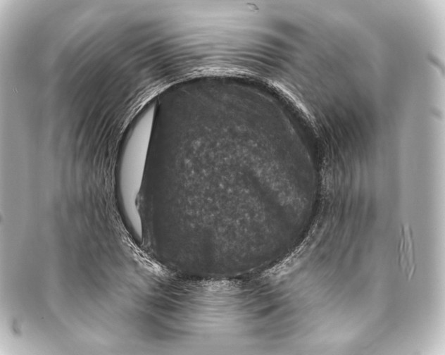 X0000095551025200712281601