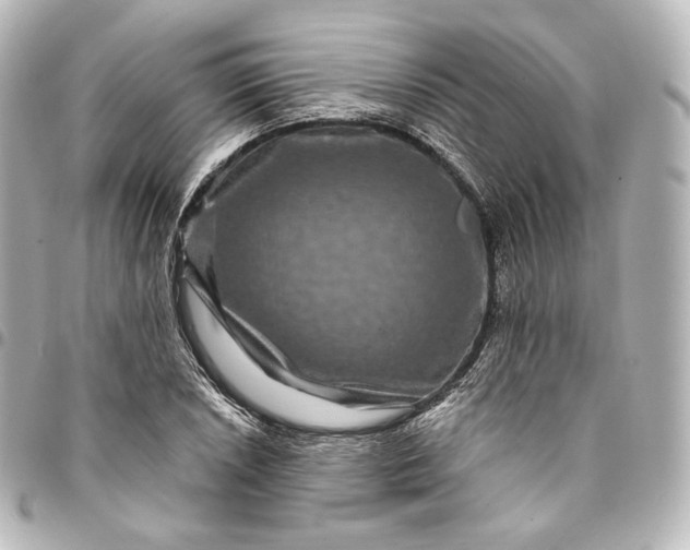 X0000095551026200712281601