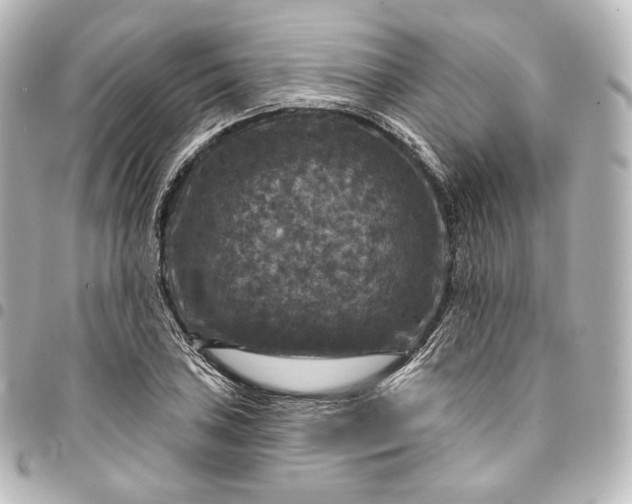 X0000095551027200712281601