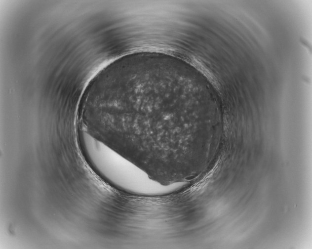 X0000095551028200712281601