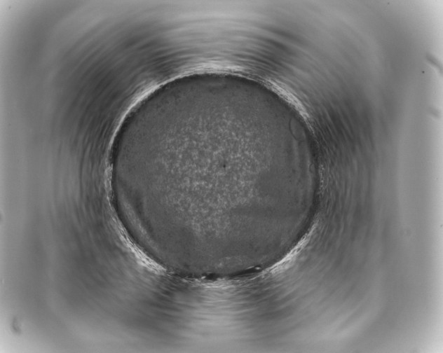 X0000095551029200712281601