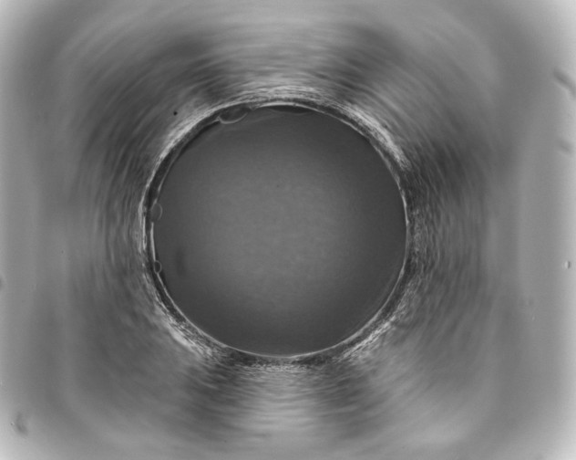 X0000095551031200712281601