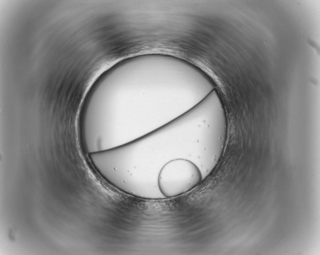 X0000095551032200712281601