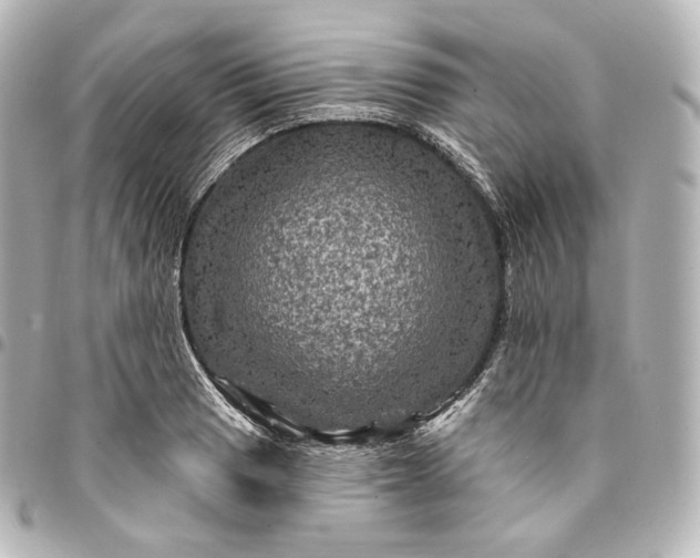 X0000095551033200712281601