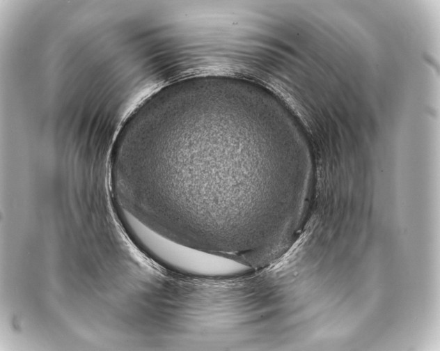 X0000095551034200712281601