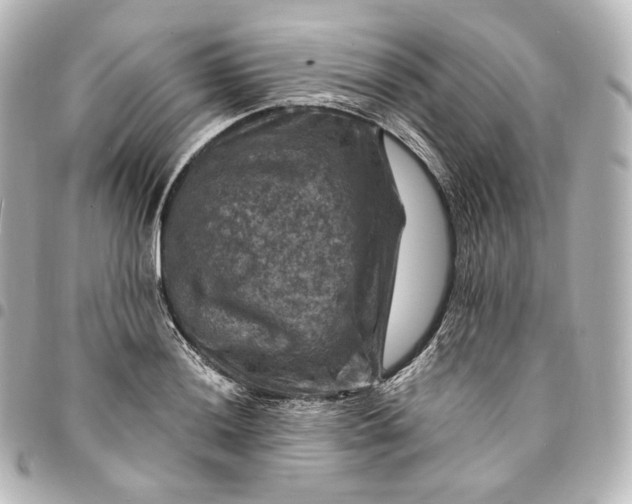 X0000095551036200712281601