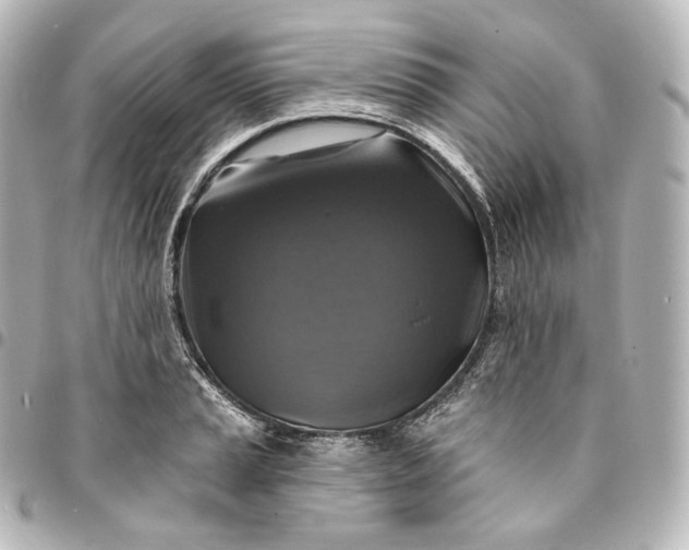 X0000095551037200712281601