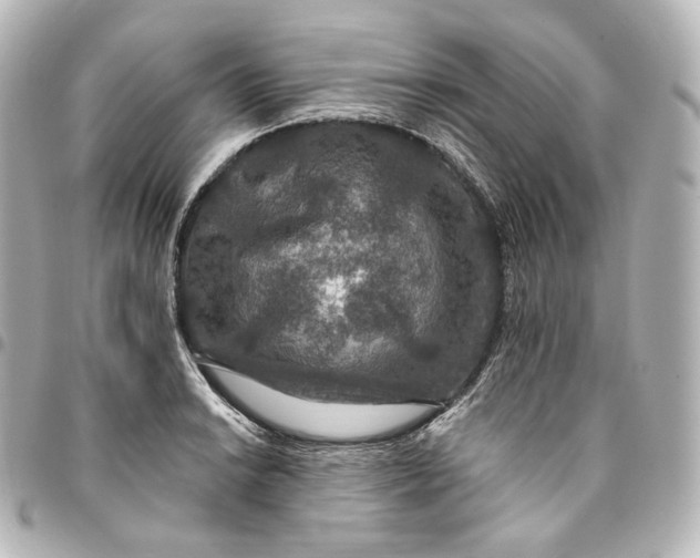 X0000095551038200712281601