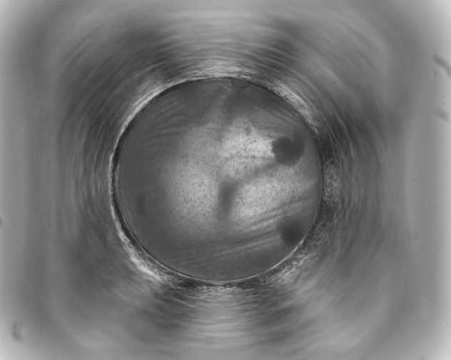 X0000095551039200712281602