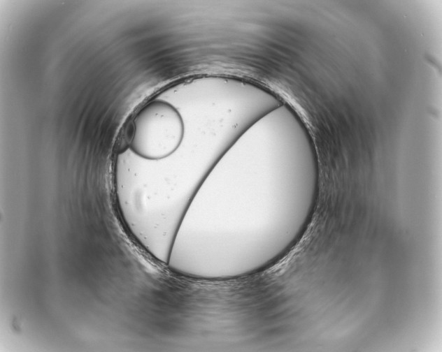 X0000095551040200712281602