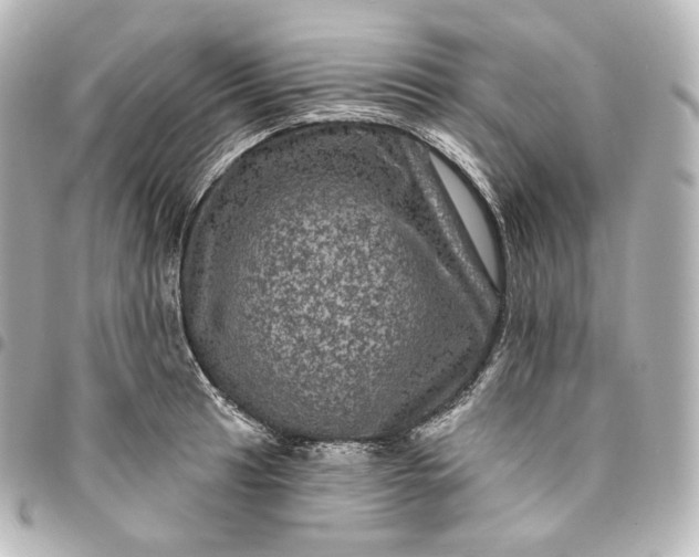 X0000095551041200712281602