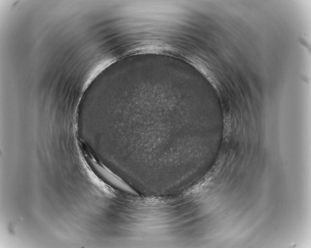 X0000095551042200712281602