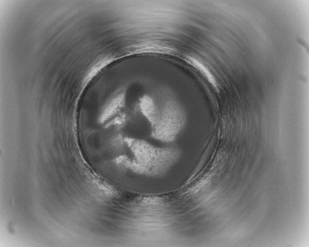 X0000095551043200712281602