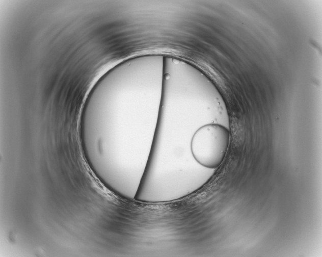 X0000095551044200712281602