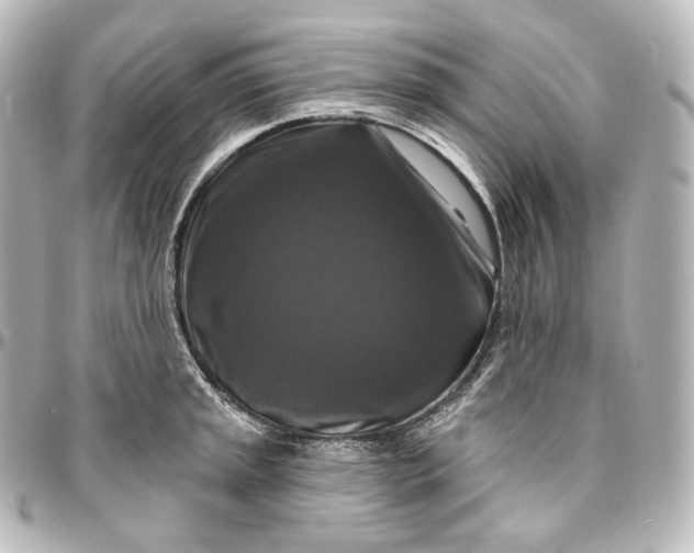 X0000095551045200712281602