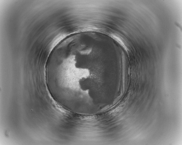 X0000095551047200712281602