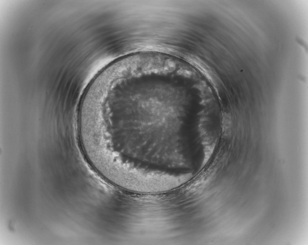 X0000095551048200712281602