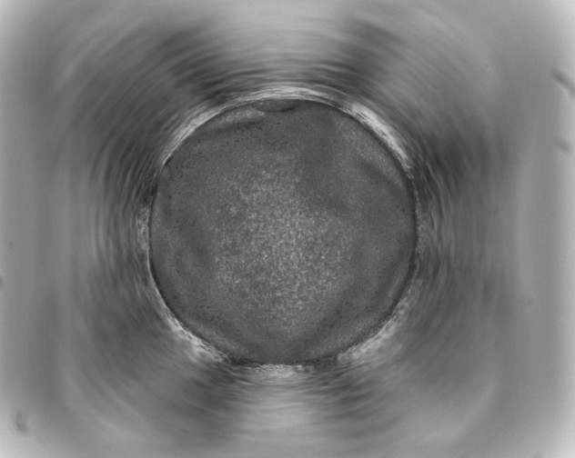 X0000095551049200712281602