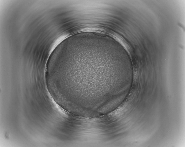 X0000095551050200712281602