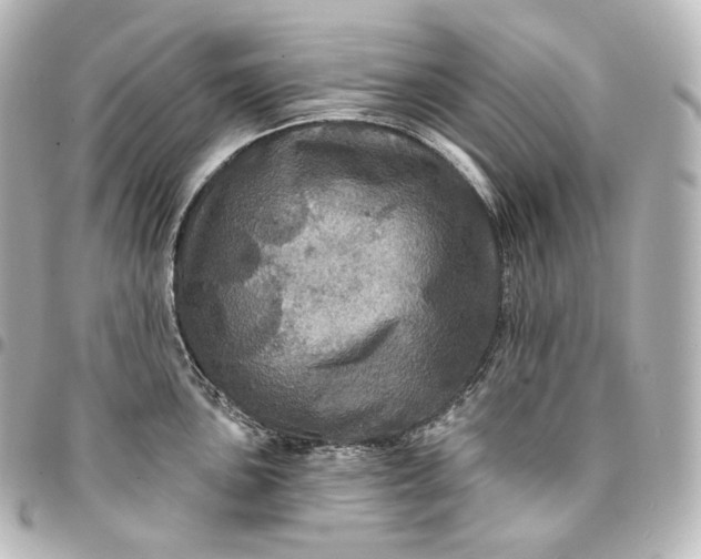 X0000095551051200712281602