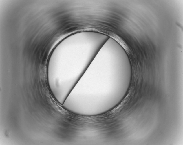 X0000095551052200712281602