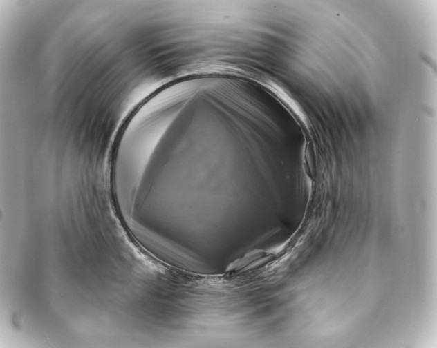 X0000095551053200712281602