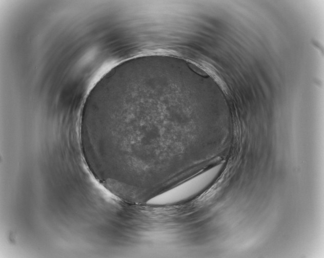 X0000095551054200712281602