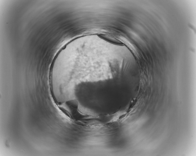 X0000095551055200712281602