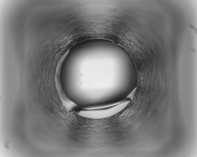 X0000095551057200712281601